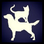 I And Love And You discount code